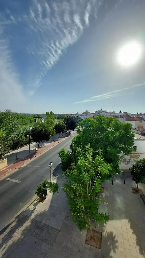 Aparthotel Apartamentos Ribera 19 Córdoba